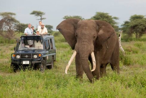 3-DAY / 2-NIGHT SANPARKS SAFARI