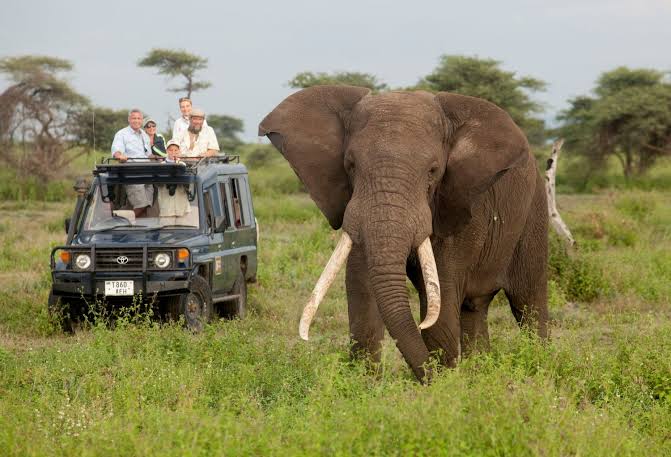 3-DAY / 2-NIGHT SANPARKS SAFARI